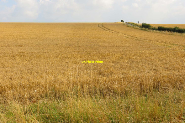 Photo 6"x4" Arable field on Cholsey Hill Mackney c2013