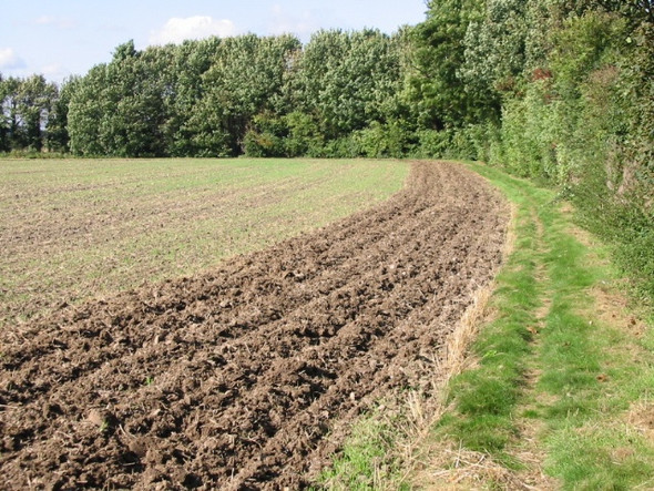 Photo 6"x4" Footpath along field edge, from Monkton Hoo\/TR2964 c2008