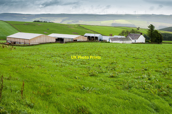 Photo 6"x4" Glenlaugh Farm Wallaceton\/NX8487 c2013