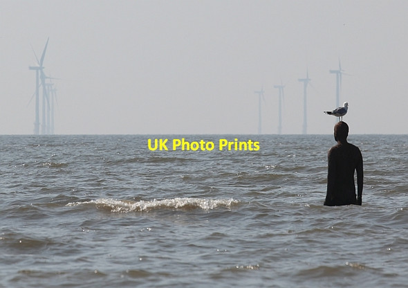 Photo 6"x4" Another Place, a seagull and a wind farm, Crosby Crosby\/SJ3198 c2013