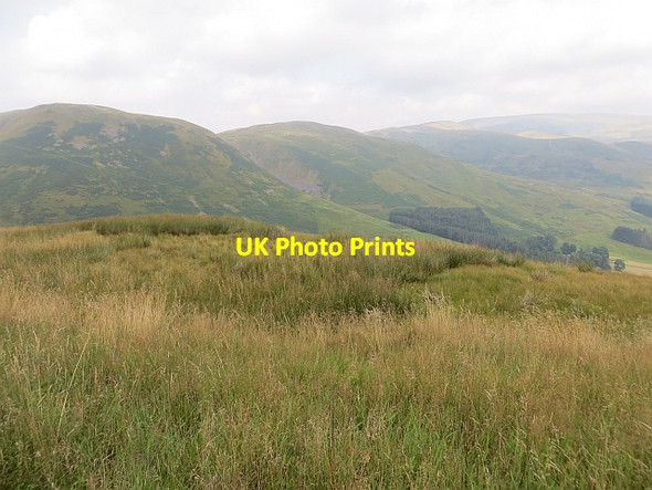 Photo 6"x4" Grassland, Ericstane Hill Devil's Beef Tub c2013