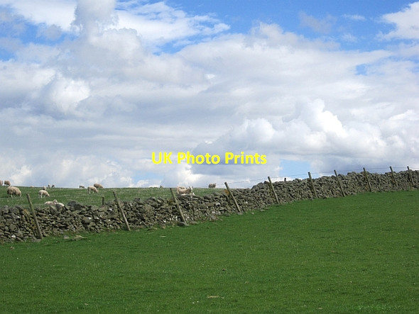 Photo 6"x4" Dyke, Mosshouses Easter Housebyres c2013