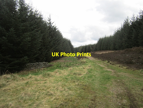 Photo 6"x4" Road, Ladhope Moor Galashiels c2013