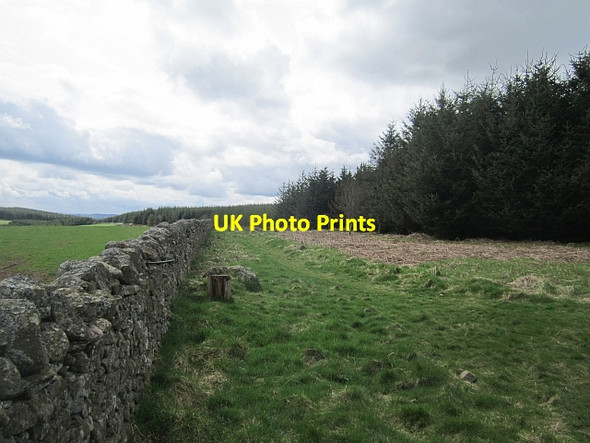 Photo 6"x4" Ladhope Moor Galashiels c2013