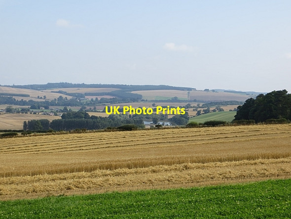 Photo 6"x4" Barley above Crailing Crailing c2013