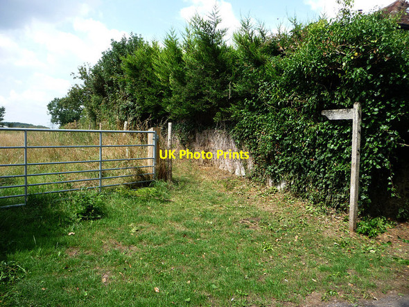 Photo 6"x4" Footpath near Little Denmead Farm Eastland Gate c2013