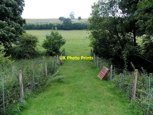 Photo 6"x4" Field side of a level crossing near Cwmheyope Heyope c2013