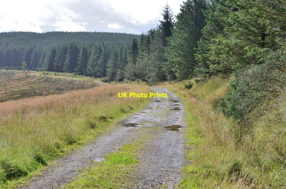 Photo 6"x4" Silver Jubilee Road, Quarter Hill Talla Menzion c2013