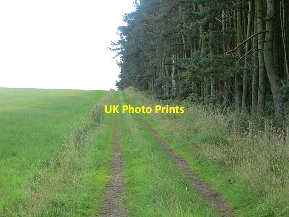 Photo 6"x4" Farm track, Cessford Moor Eckfordmoss c2013