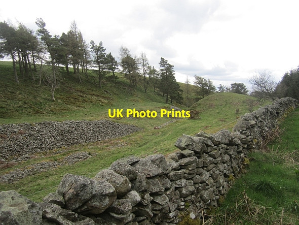 Photo 6"x4" Quarry workings, Darling's Hill Galashiels c2013