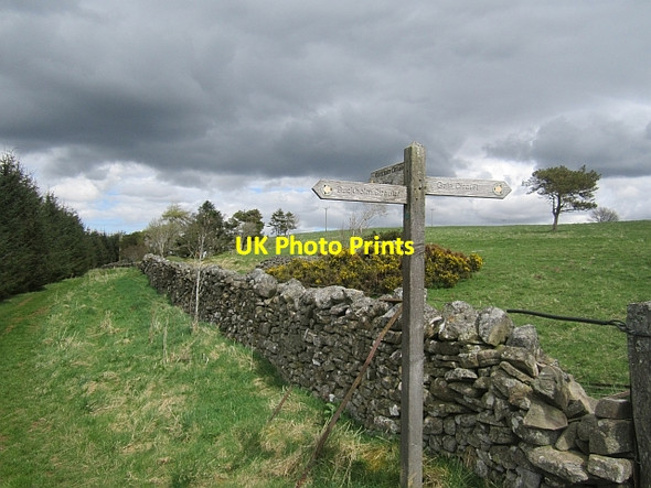 Photo 6"x4" Sign post, Darling's Hill Galashiels c2013