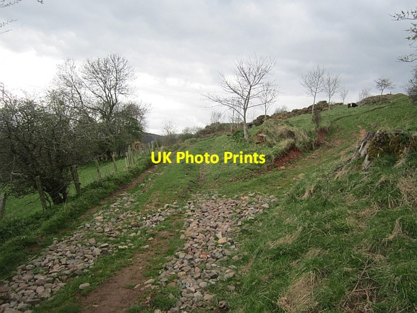 Photo 6"x4" Tracks, Langlee Mains Galashiels c2013