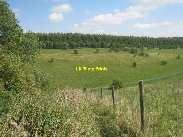 Photo 6"x4" By Minningdale Plantation Warter c2013