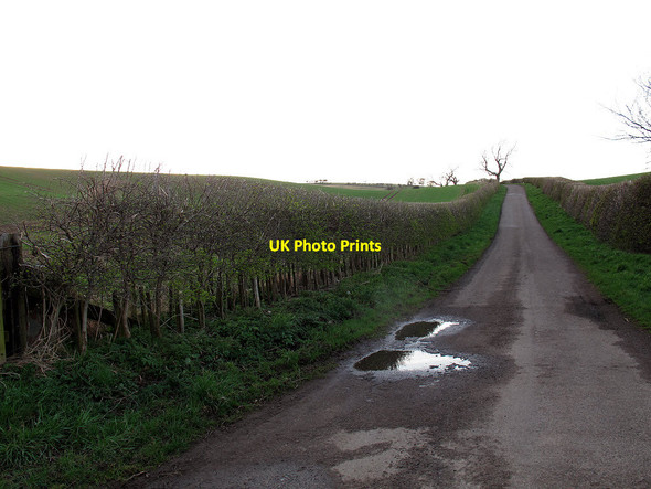 Photo 6"x4" Road above Earle Mill Haugh Head c2013