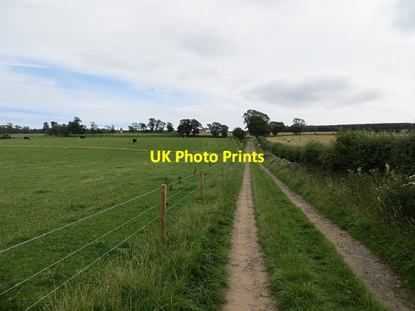 Photo 6"x4" Farm road, Timpendean Jedburgh c2013