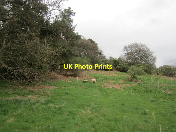 Photo 6"x4" Boot Plantation Melrose\/NT5434 c2013