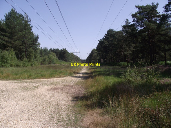 Photo 6"x4" March of the power cables Ashley Heath\/SU1104 c2013