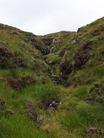 Photo 6"x4" Heather-lined gully, Creag Dhubh Allt Leathad Doire Ruaidhe c2008