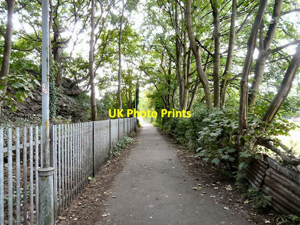 Photo 6"x4" Trans Pennine Trail Stockport\/SJ8990 c2013