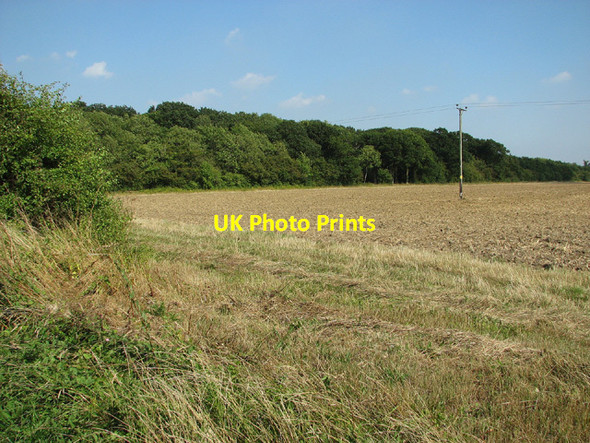 Photo 6"x4" Field by Hales Hall Wood Loddon Ingloss c2013