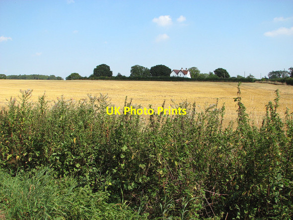 Photo 6"x4" Stubble field east of Litchmere Lane Ellingham\/TM3692 c2013
