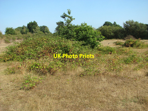 Photo 6"x4" Broome Heath Broome\/TM3491 c2013