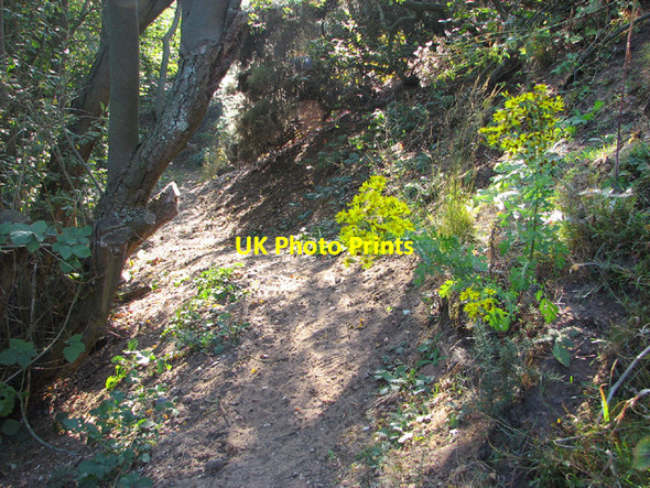Photo 6"x4" Narrow path on Broome Heath Broome\/TM3491 c2013
