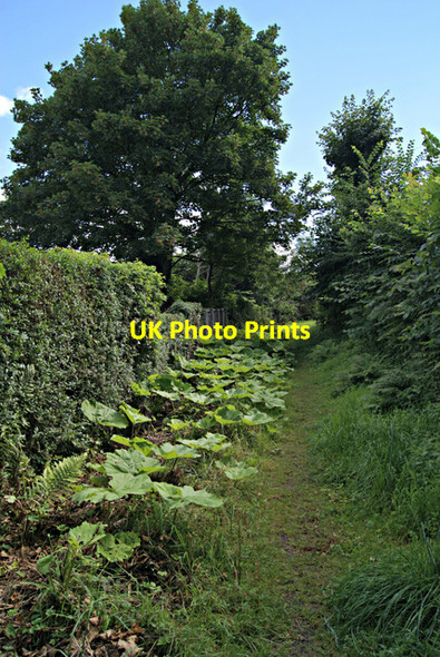 Photo 6"x4" Back Station Road Inverkip c2013