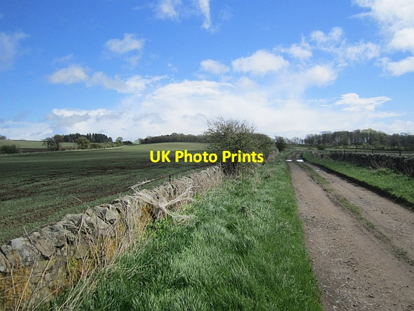 Photo 6"x4" Kilbrackmont to Gibliston road Largoward c2013