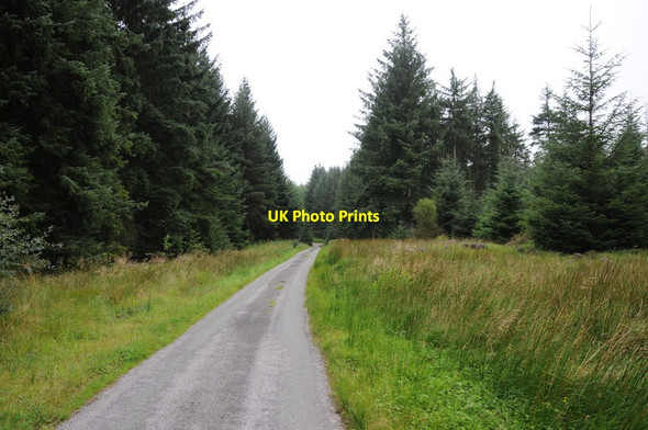 Photo 6"x4" Road through forest Pentre-llyn-cymmer c2013