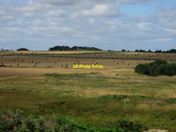 Photo 6"x4" Looking inland from Embleton Links Low Newton-by-the-Sea c2013