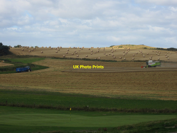 Photo 6"x4" Combine at work, near Embleton Links Low Newton-by-the-Sea c2013