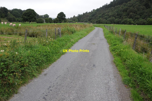 Photo 6"x4" Country road near Llanfihangel Glyn Myfyr Llanfihangel Glyn Myfyr c2013