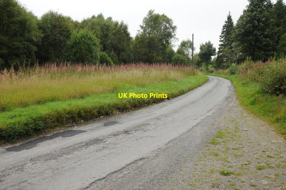 Photo 6"x4" Road through Clocaenog Forest Derwen\/SJ0650 c2013