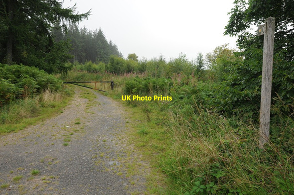 Photo 6"x4" Forest bridleway, Clocaenog Forest Derwen\/SJ0650 c2013