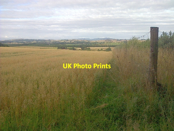 Photo 6"x4" Field on Winton Hill New Town\/NT4470 c2013