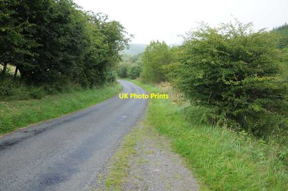 Photo 6"x4" Country road through Clocaenog Forest Foel Frech\/SJ0154 c2013