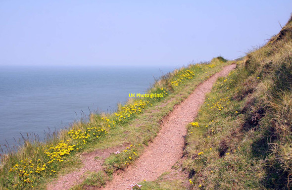 Photo 6"x4" Footpath along the cliff Allerford\/SS9047 c2013