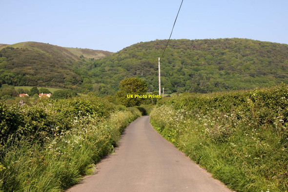 Photo 6"x4" A lane down to Bossington Bossington\/SS8947 c2013