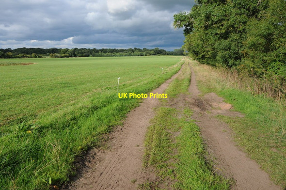 Photo 6"x4" Footpath and track at Alpraham Green Alpraham c2013