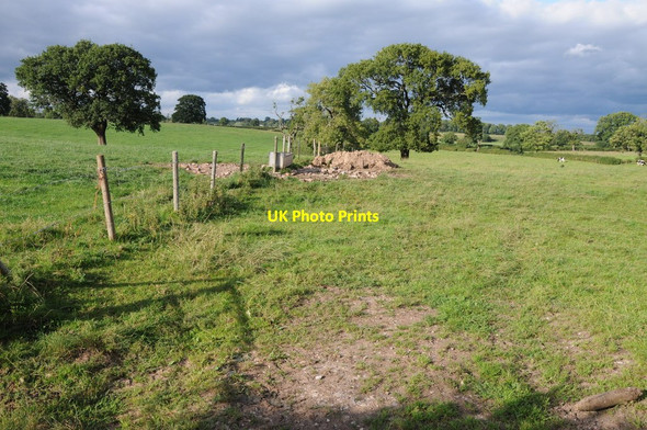 Photo 6"x4" Farmland opposite Oxheys Eaton\/SJ5763 c2013