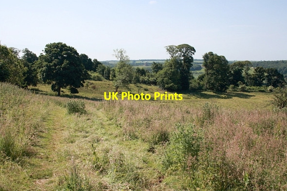 Photo 6"x4" Field near High Easthorpe Appleton-le-Street c2013
