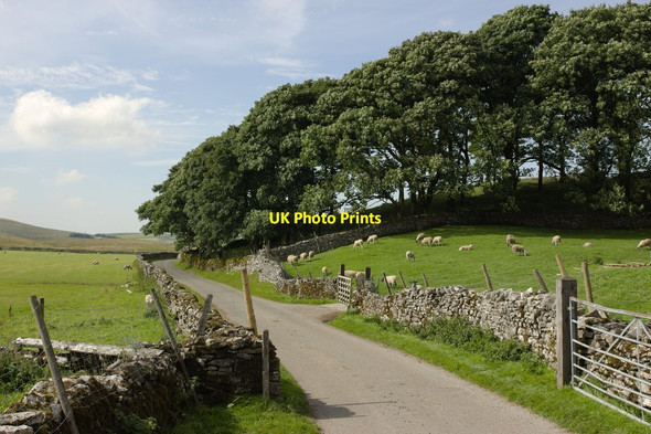 Photo 6"x4" Gated Lane, Low Trenhouse Water Houses\/SD8867 c2013
