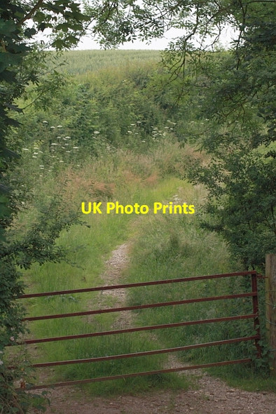 Photo 6"x4" Gate on Track to Dale Farm High Hawsker c2013