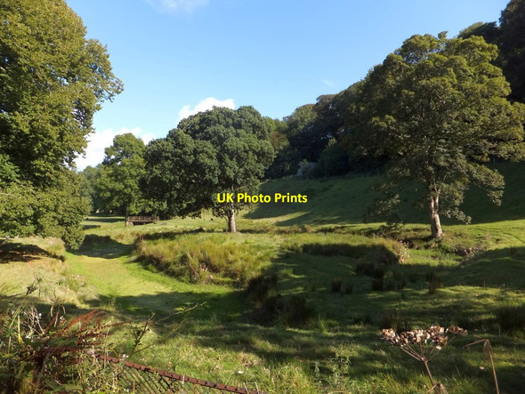 Photo 6"x4" Earthworks beside the Abbey River at Hartland Abbey Stoke\/SS2324 c2013