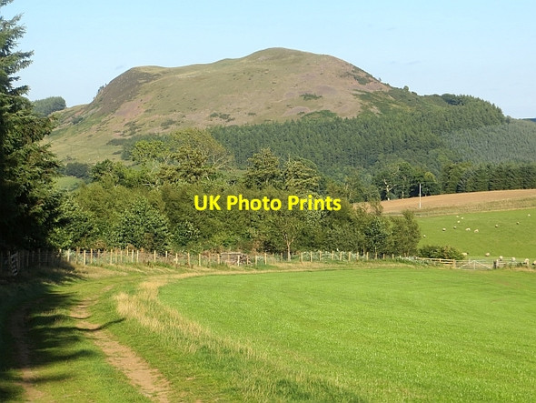 Photo 6"x4" Path beside West Strips Melrose\/NT5434 c2013