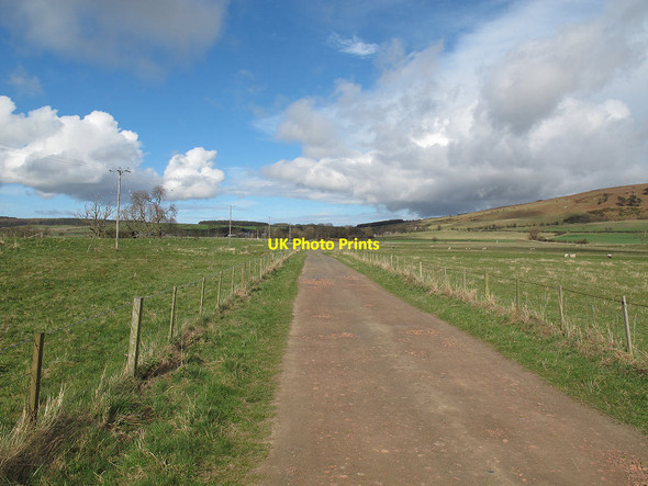 Photo 6"x4" Bridleway to Doddington Doddington\/NT9932 c2013