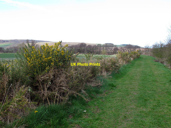 Photo 6"x4" Permissive path along a riverbank Wooler c2013