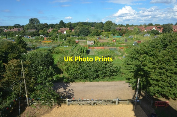 Photo 6"x4" Dereham Allotments Dumpling Green c2013