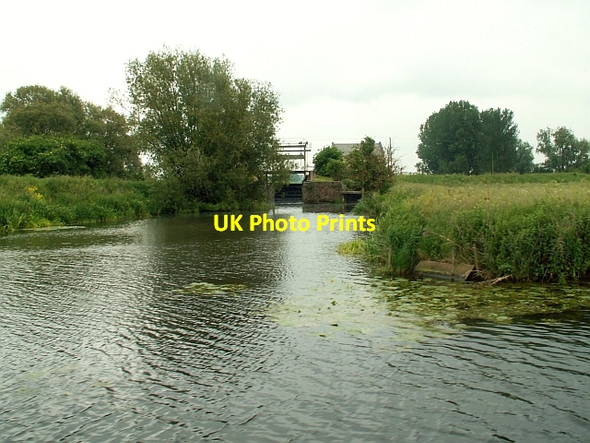 Photo 6"x4" Swaffham Bulbeck Lode joins the River Cam River Bank c2006